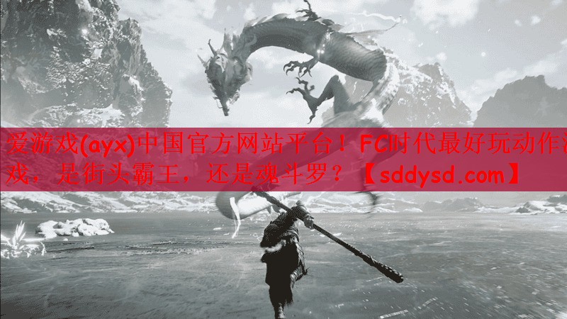 爱游戏(ayx)中国官方网站平台！FC时代最好玩动作游戏，是街头霸王，还是魂斗罗？