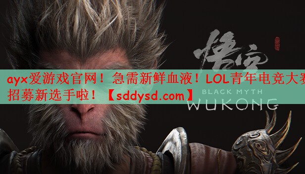急需新鲜血液！LOL青年电竞大赛招募新选手啦！