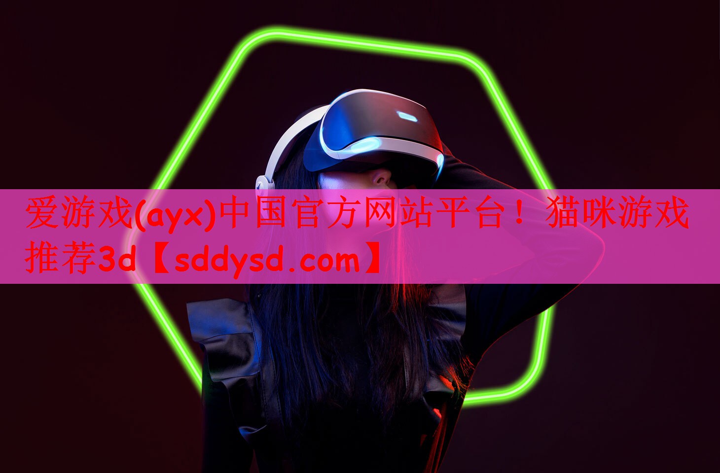 猫咪游戏推荐3d